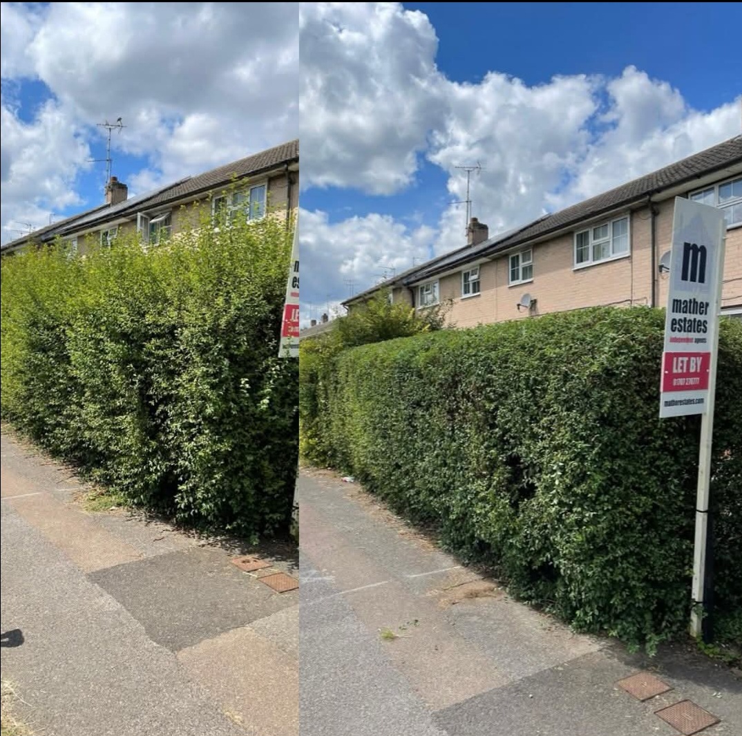 Hedge trim and pathway clean before and after results