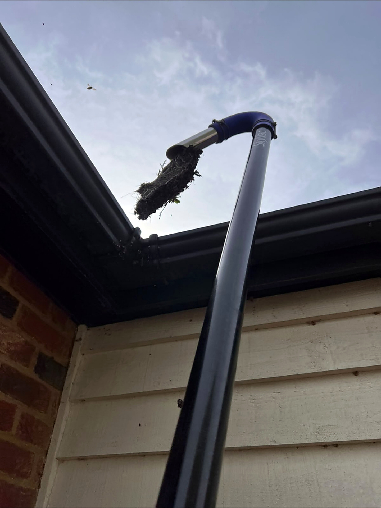 High-reach gutter vacuum system cleaning a roofline