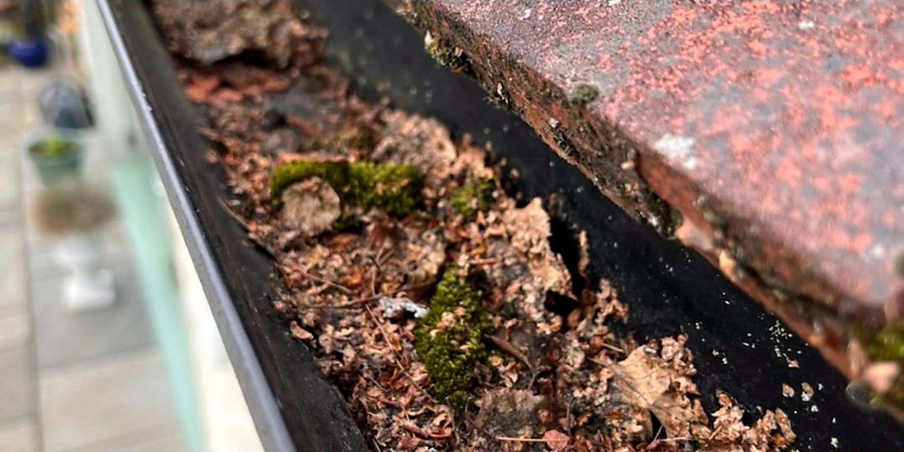 Close-up of a gutter cleared of leaves and moss — before
